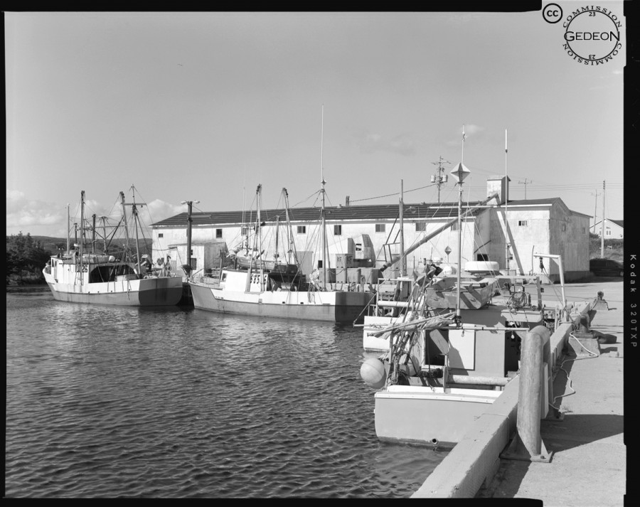 Billards Fisheries, Margaree