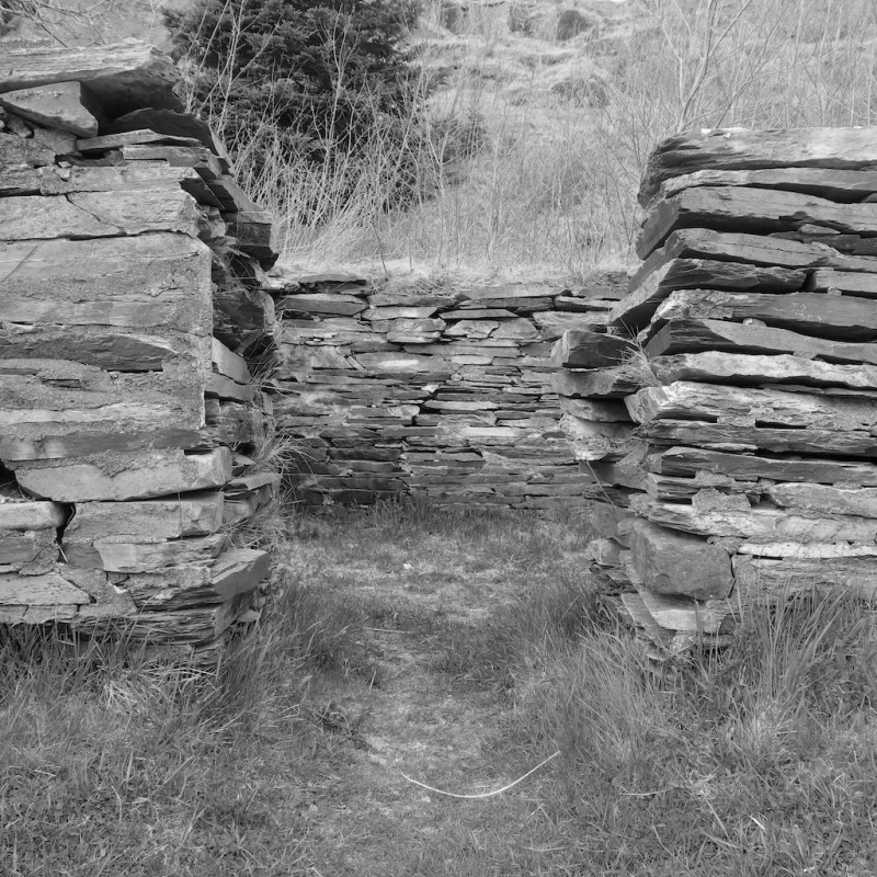 Root Cellar